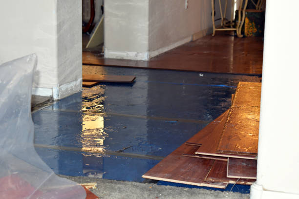 Professional Flood Cleanup technician working in Marblehead, MA